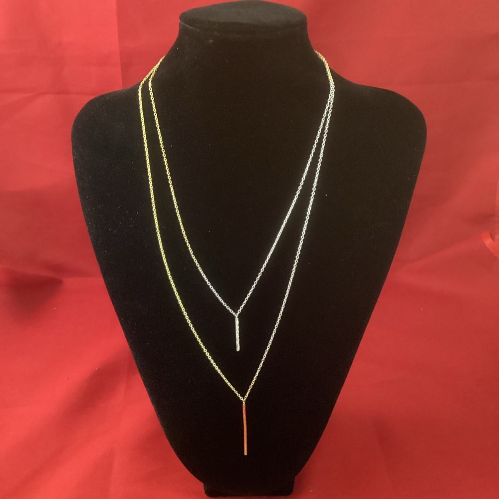 Gorjana silver tone and gold tone 2 strands necklace